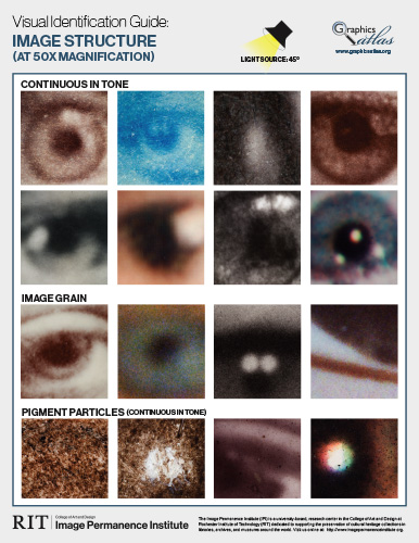Visual Identification Guide Image Structure at 50x Magnification